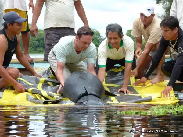 10 Maravillosos Lugares Turísticos de la Selva Peruana 8 Centro de Rescate Amazonico CREA