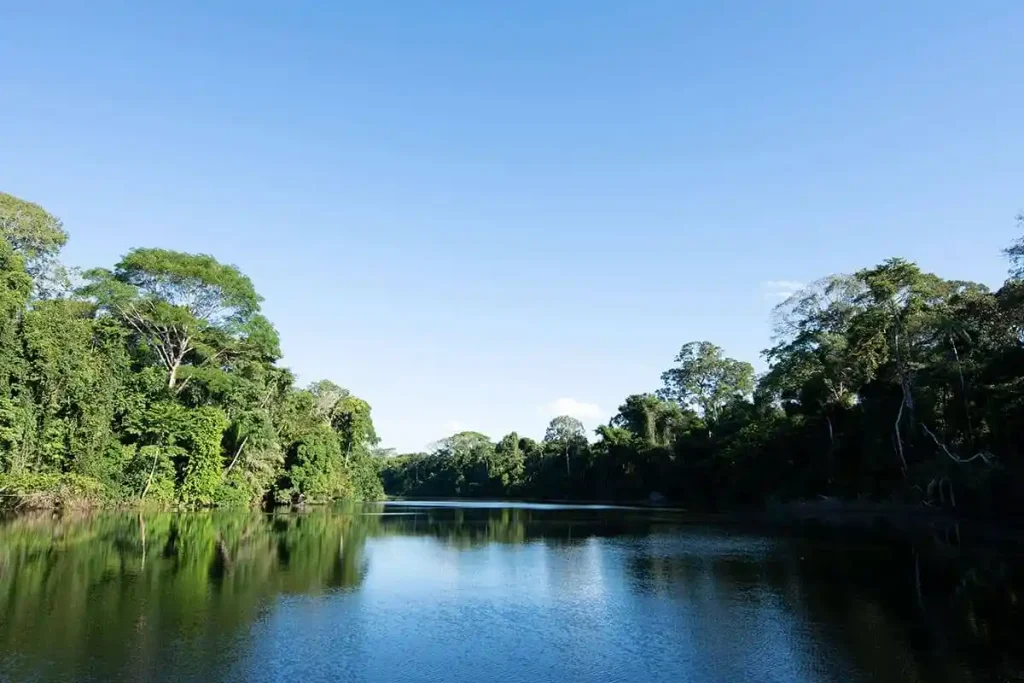 10 Maravillosos Lugares Turísticos de la Selva Peruana 6 Parque Nacional Bahuaja Sonene 2