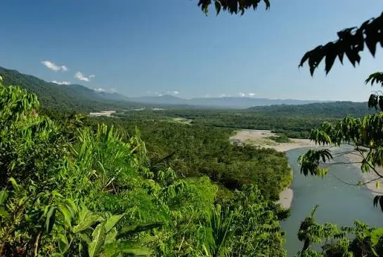 10 Maravillosos Lugares Turísticos de la Selva Peruana 1 Parque Nacional del Manu 2