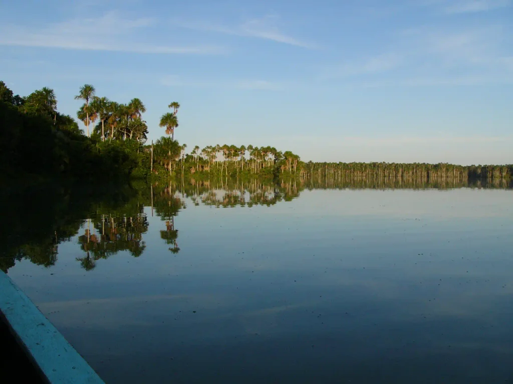 10 Maravillosos Lugares Turísticos de la Selva Peruana 2 Reserva Nacional Tambopata 1