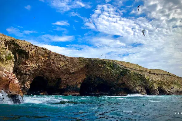 10 mejores lugares turísticos de la costa peruana 6 mejores lugares turisticos de la costa Islas Ballestas