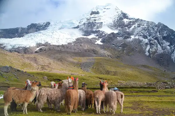 Preguntas frecuentes sobre los nevados en el Peru