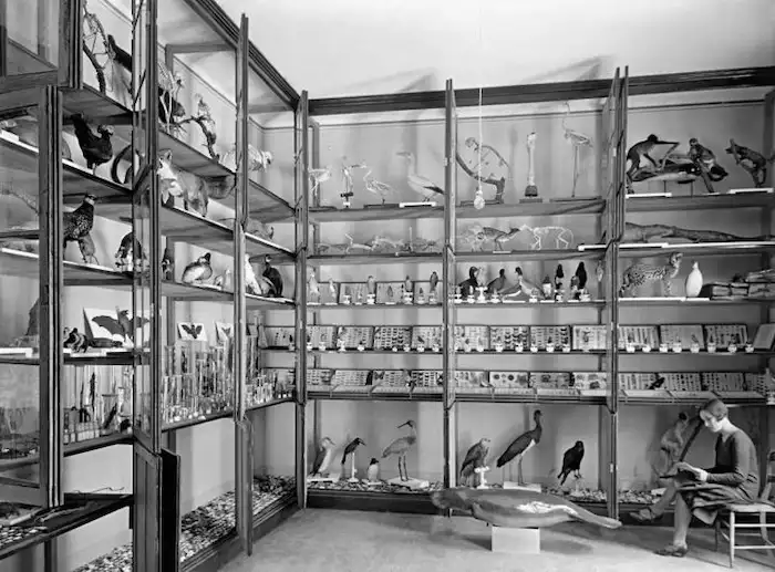 Museo de Ciencias Naturales de Arequipa