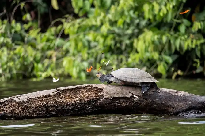 Inicio del Tambopata tour 3 días en Puerto Maldonado