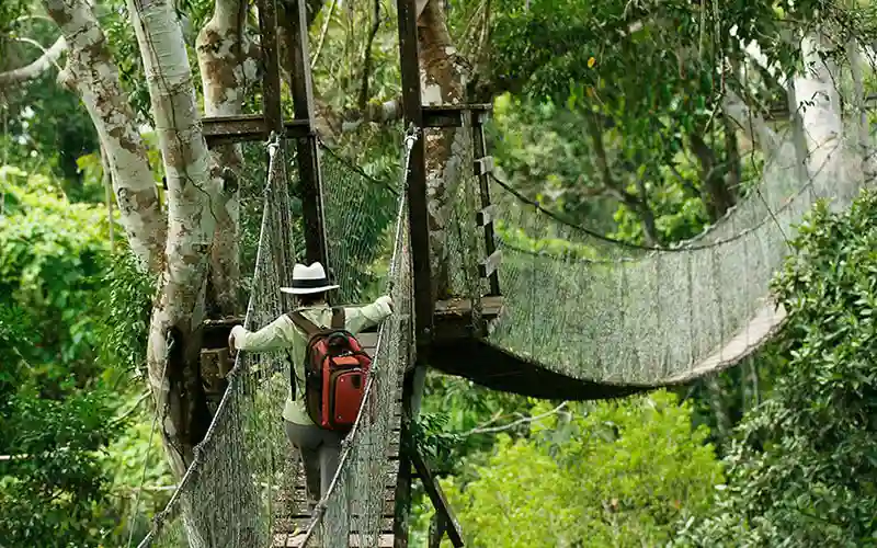 Inicio del Tour Manu 4 días del Cusco al bosque de nubes