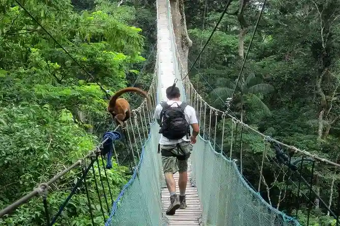 Qué incluye el Tambopata tour 3 días