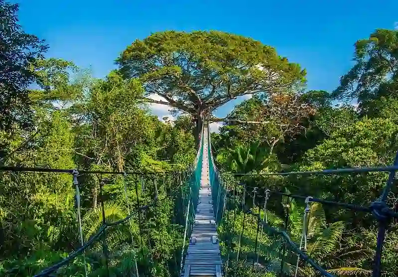 Qué incluye el Tour Tambopata 4 días