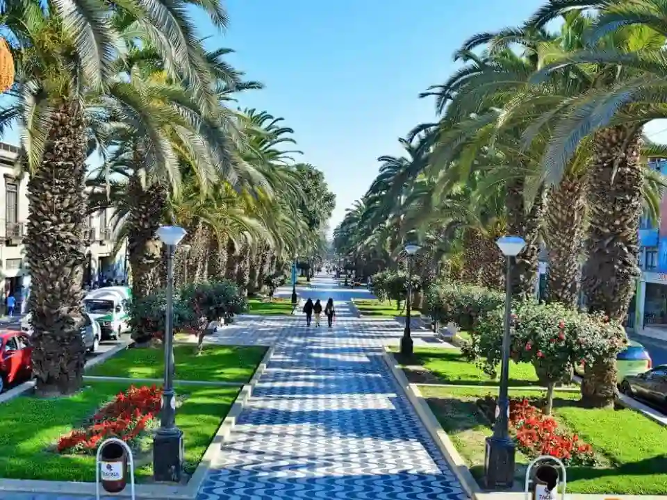 ¿Qué hacer en Tacna? Planes y actividades imperdibles 2026 1 Que visitar en Tacna y alrededores