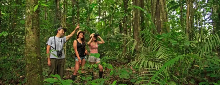 Tambopata tour 3 días