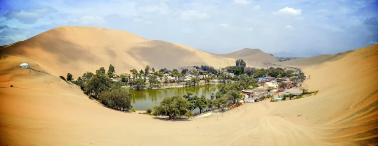 Tour Full Day Paracas Ica Huacachina