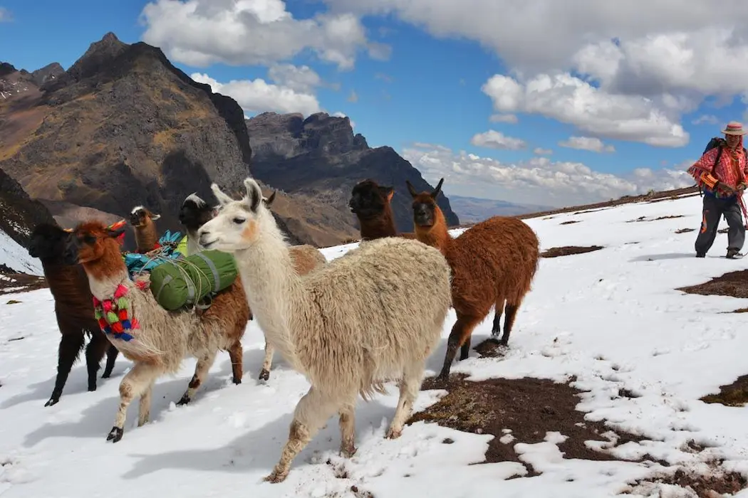 ¿Por qué elegir nuestro Ausangate Trek