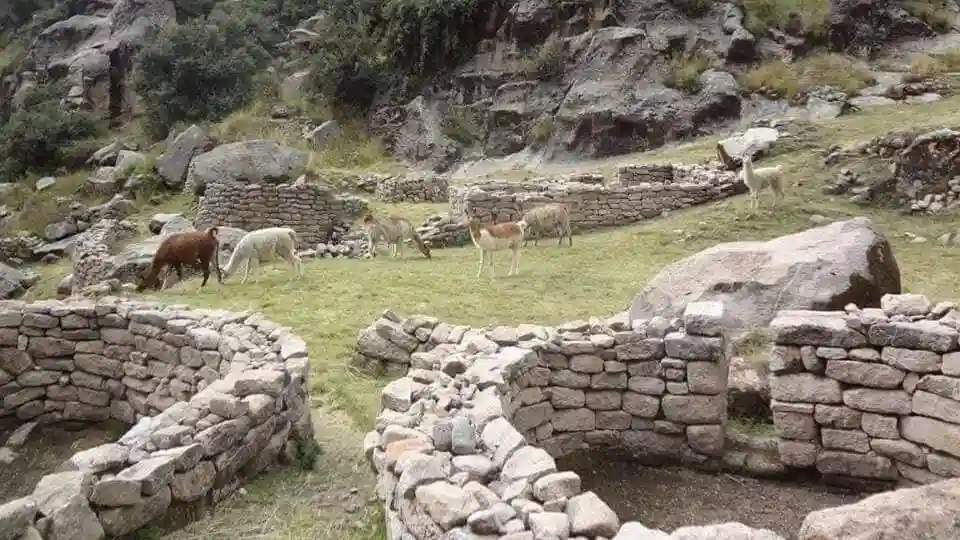 Vale la pena visitar Taqrachullo en Cusco