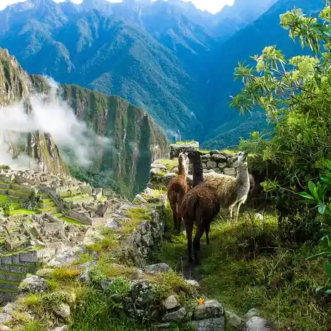 Cusco para cultura historia y paisajes andinos