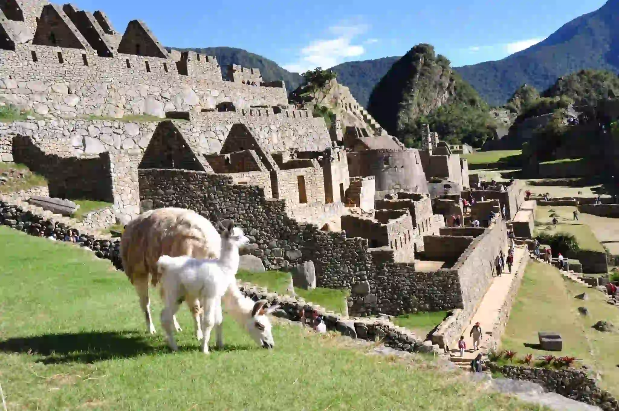 Qué incluye el Machu Picchu Express
