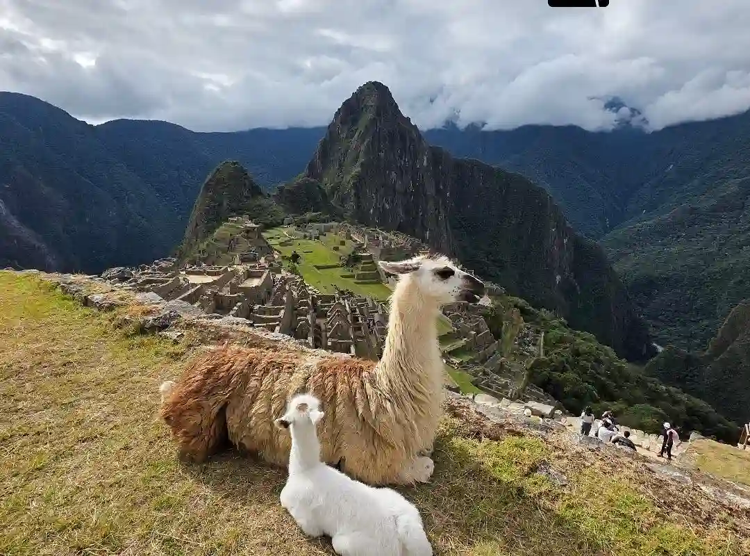 ¿Qué incluye la Ceremonia del cacao y Machu Picchu